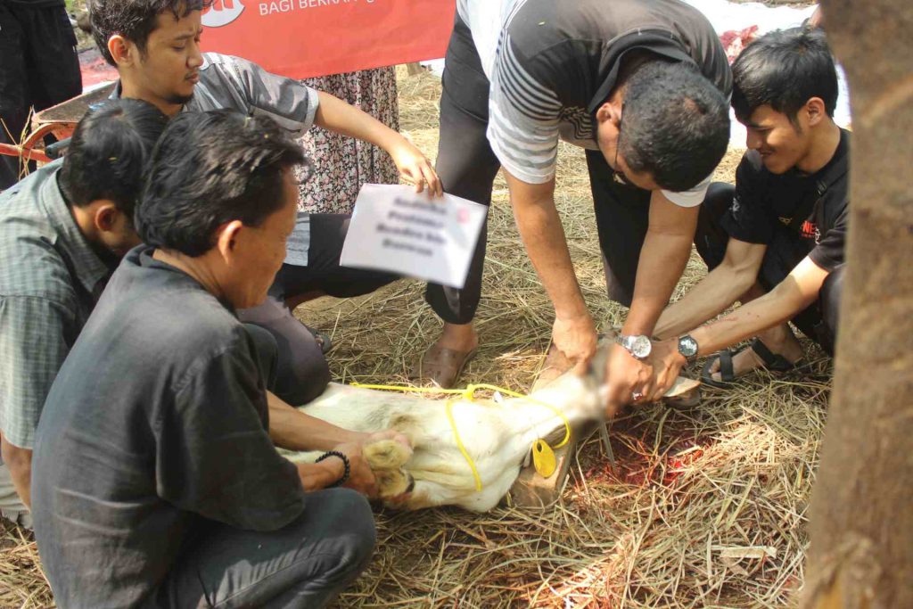 Menyembelih Lupa Basmalah Halalkah Dimakan