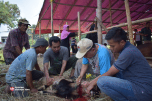Pemotongan Hewan Kurban, Ikut Negeri Hewan atau Negeri Pekurban?